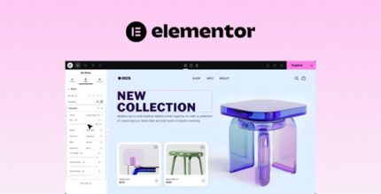 Elementor Pro